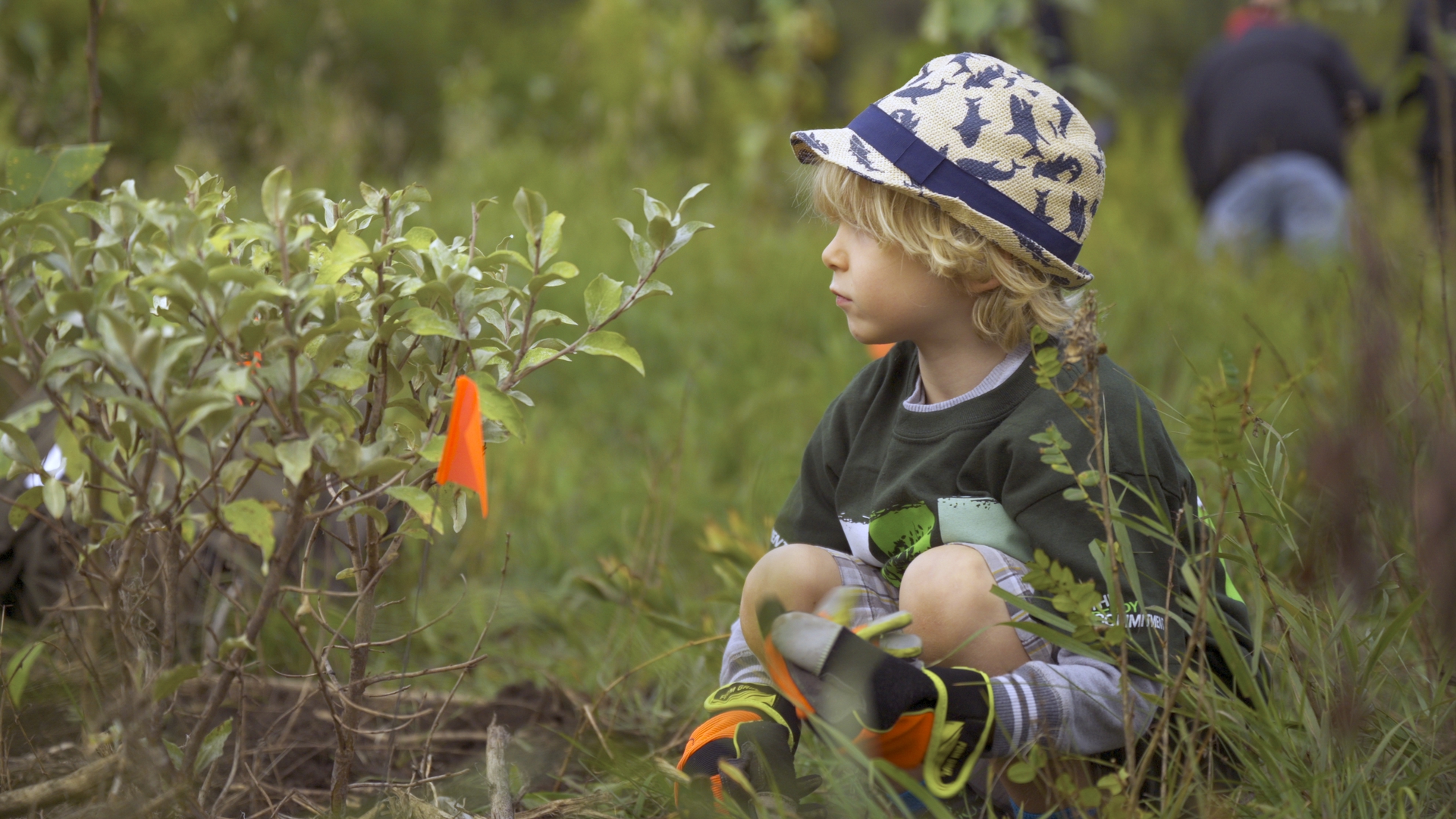 Updates on progress on future planting events