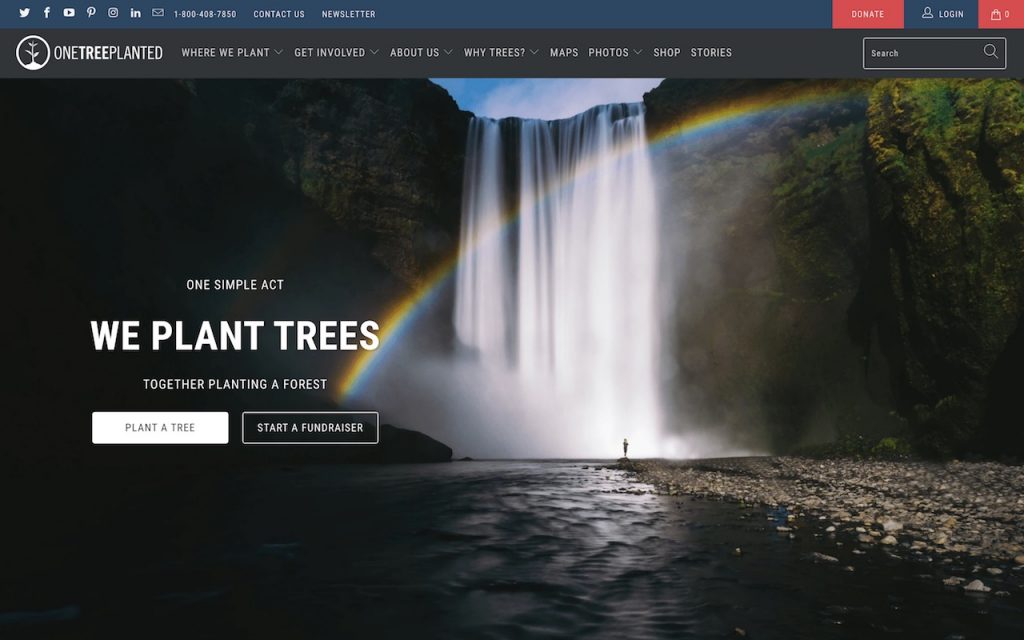 screenshot of onetreeplanted.org